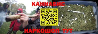 сатива Кунгур