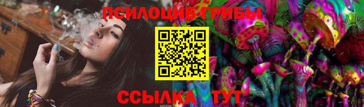 Шадринск  Псилоцибиновые грибы Cubensis  Вход с VPN 