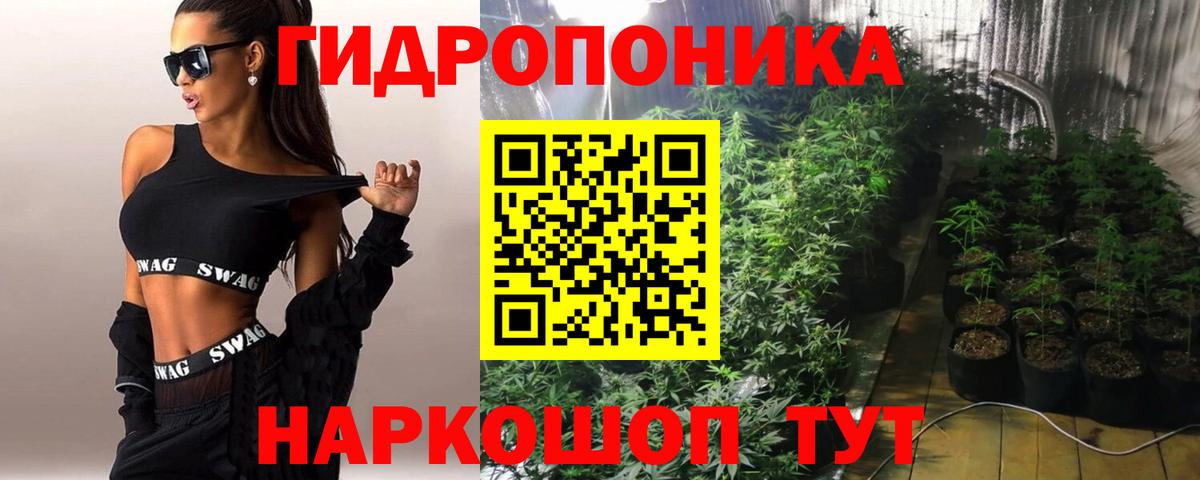 Конопля семена  Вход с VPN  Бошки Шишки тримм  Шадринск 
